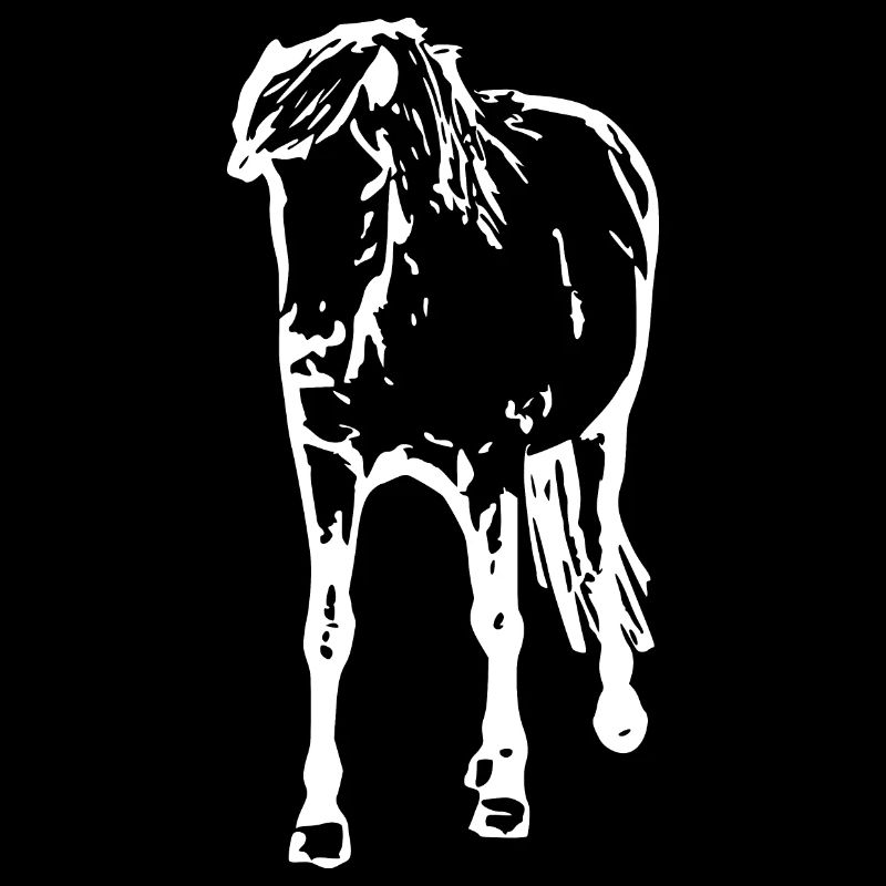 Pferde T-shirt Geschenk Reiter 