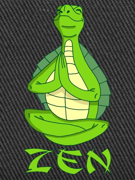 Yogi Turtle