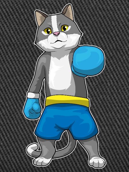 Katze Boxer Boxhandschuhe Boxen