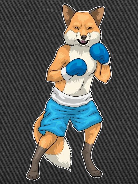 Fuchs Boxer Boxhandschuhe Boxen
