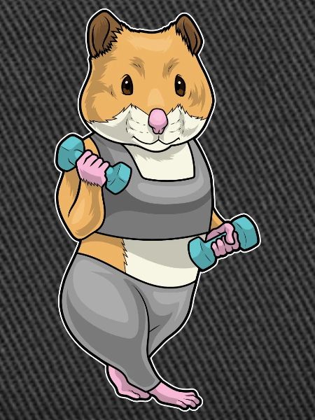 Hamster Bodybuilder Dumbbells Bodybuilding