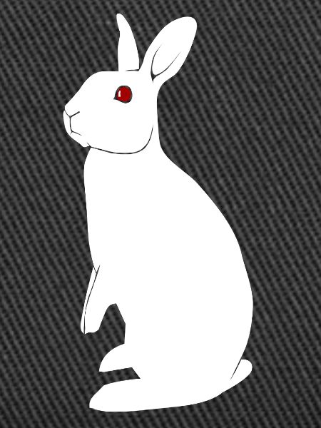 Lapin albinos