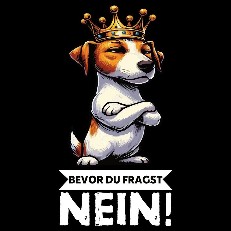 Bevor du Fragst Jack Russel terrier Jackie Terrier