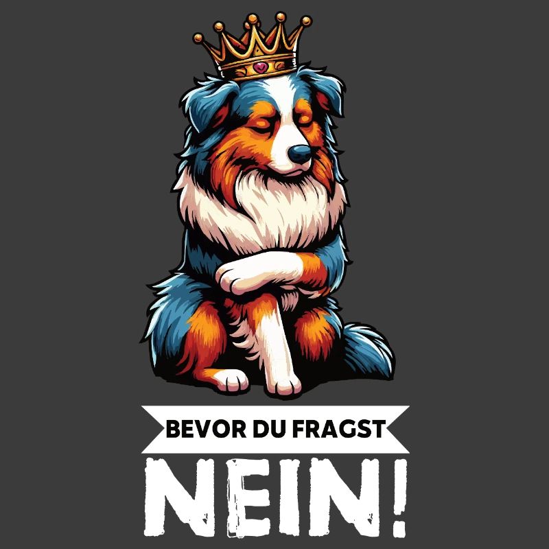 Bevor Du Fragst Australian Shepherd Aussie Aussie