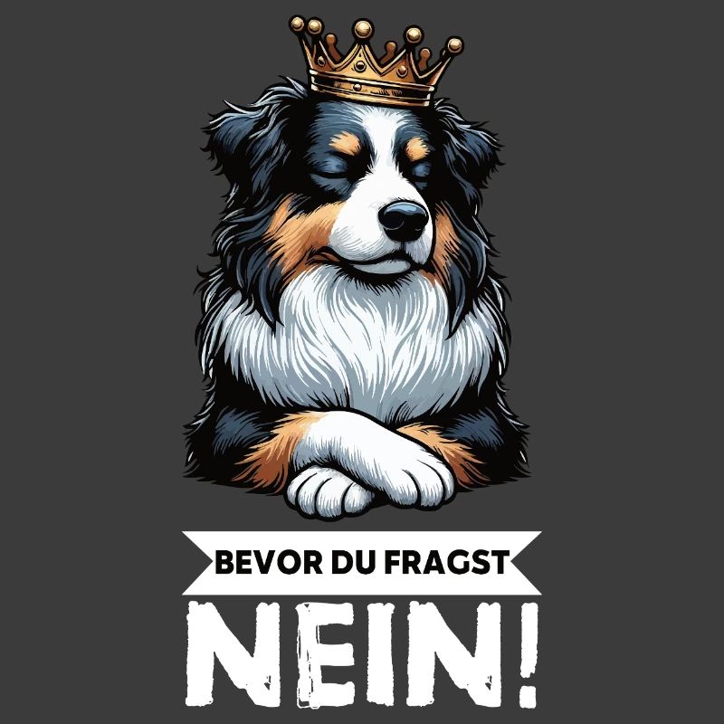 Bevor Du Fragst Australian Shepherd Aussie Aussie