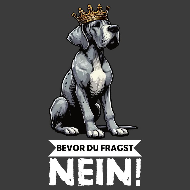 Before you ask Great Dane Great Dane owner