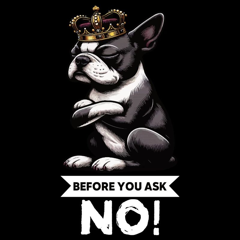 Before You Ask Boston Boston terrier Bostie Bosti