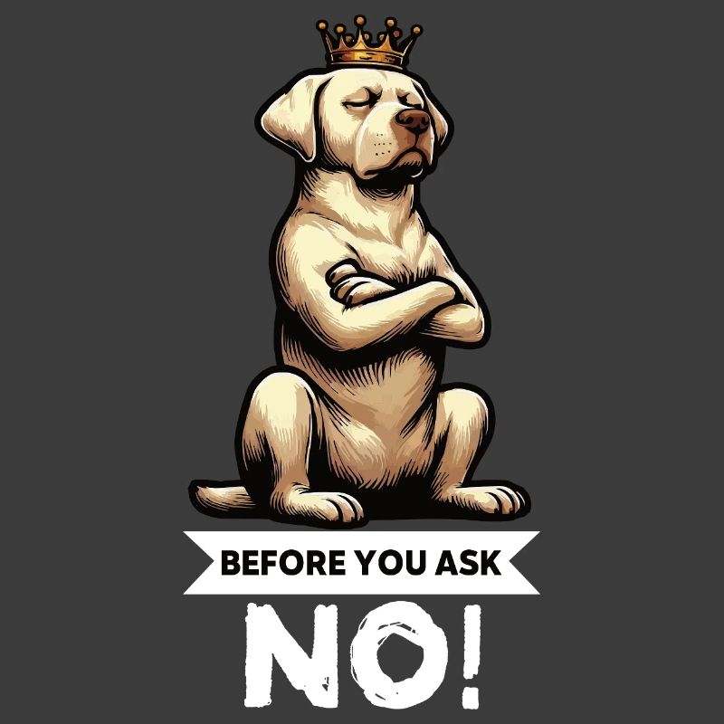 Before You Ask Labrador Labrador Labrador Owner Labrador