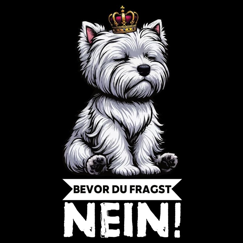 Avant que vous ne demandiez, pas de Westie Westland Terrier