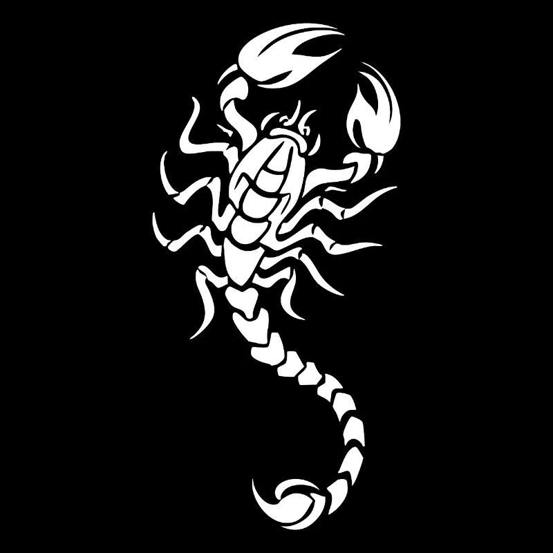 Silhouette du Scorpion à contraste nocturne