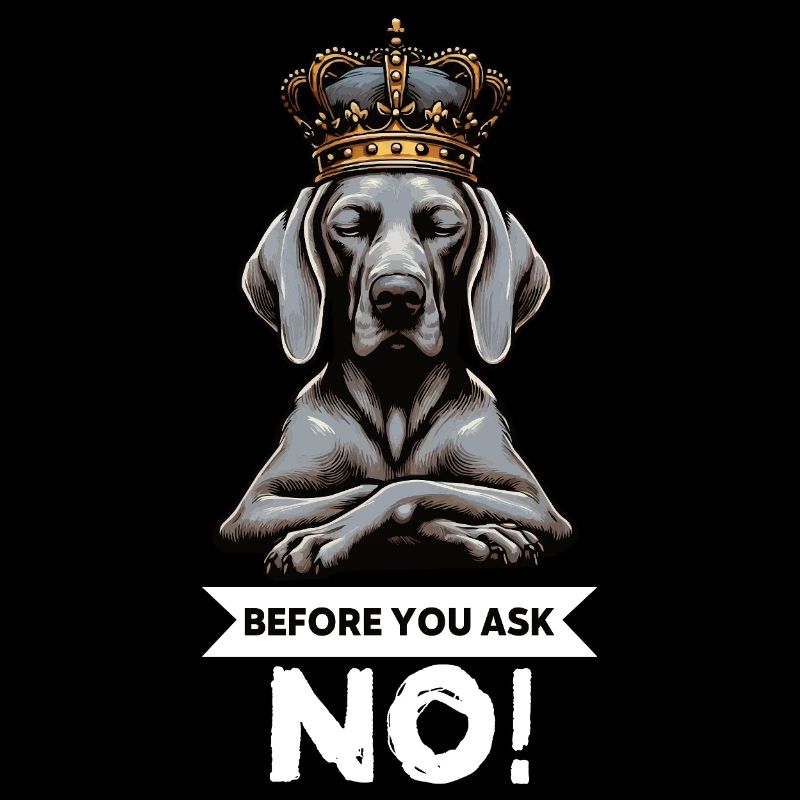 Before You Ask Weimaraner Weimaranerliebhaber 