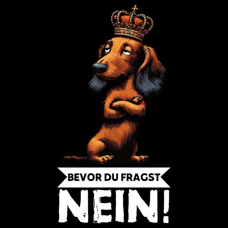 Bevor Du Fragst Nein Langhaardackel Dackel Teckel