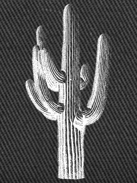 Desert Saguaro Silhouette Tee
