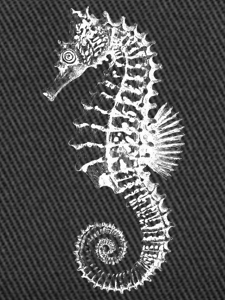 High-Contrast Seahorse Silhouette