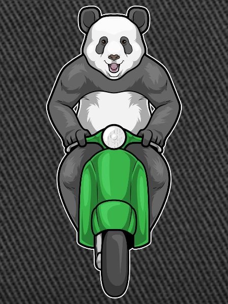 Panda Scooter