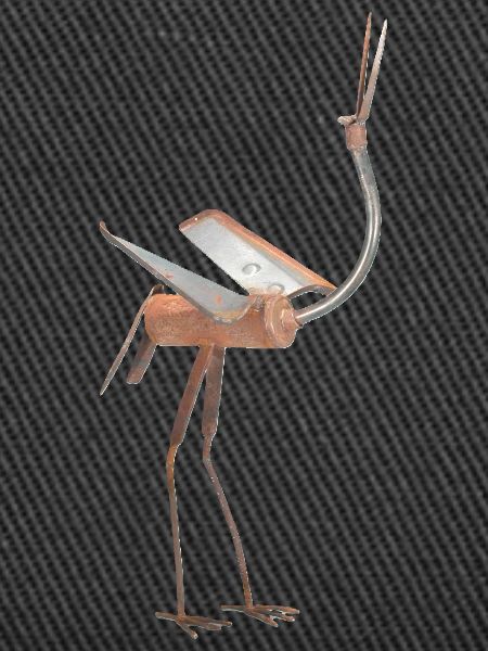 bird