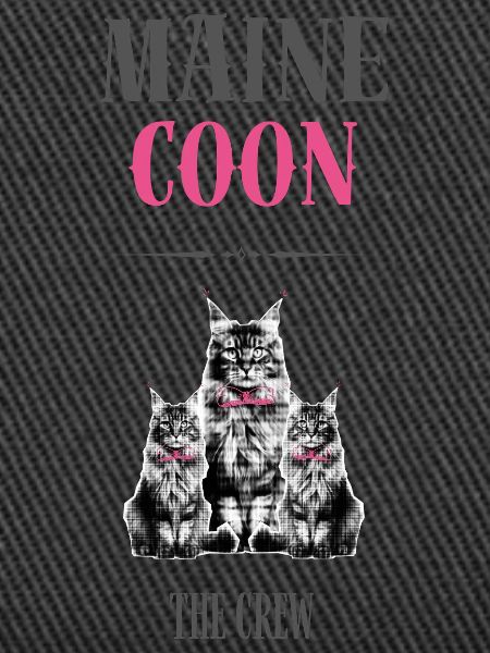 Maine Coon - The crew