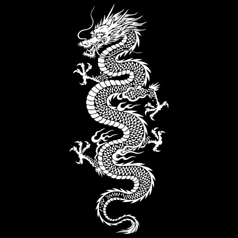 Weißer Drache auf schwarzem Hintergrund