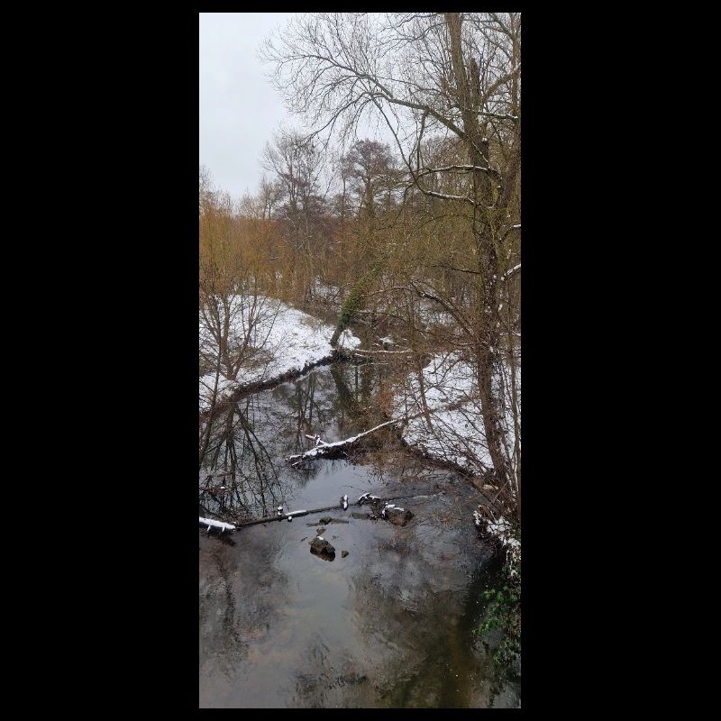 Winterfluss im Nebel