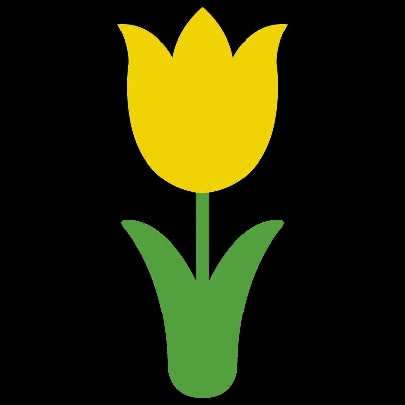 Tulip