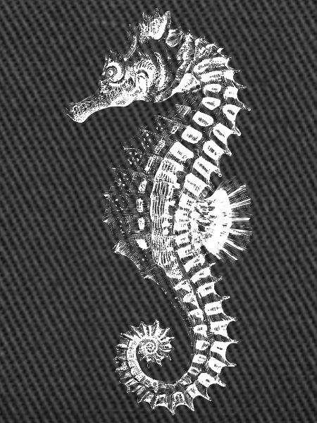 Silhouette complexe d’hippocampe