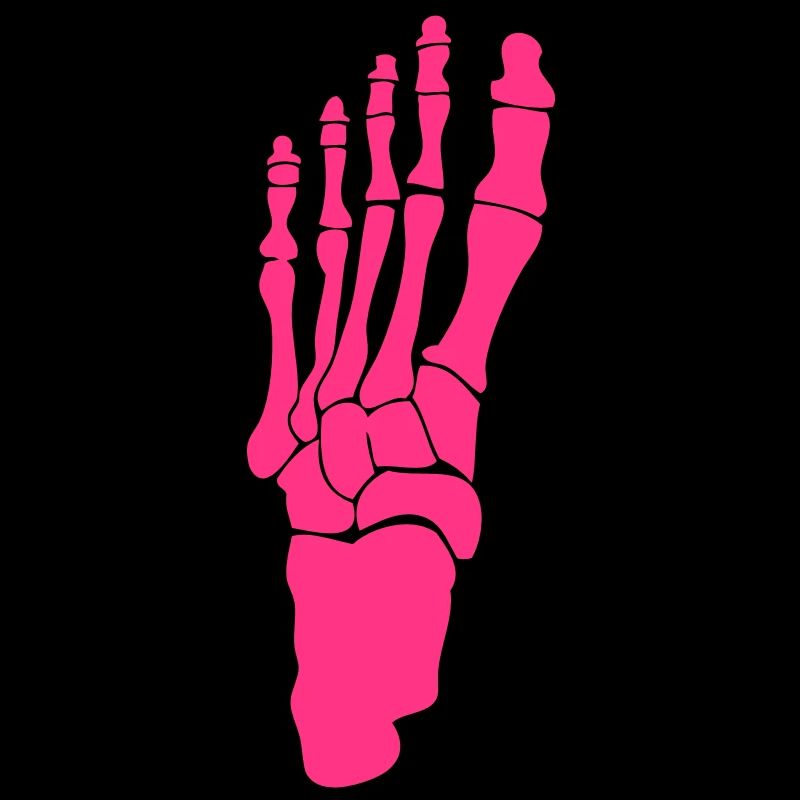 foot foot skeleton 2411