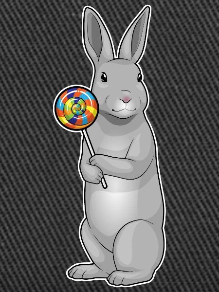 Rabbit lollipop