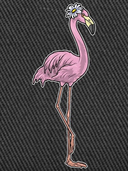 Flamingo Daisies