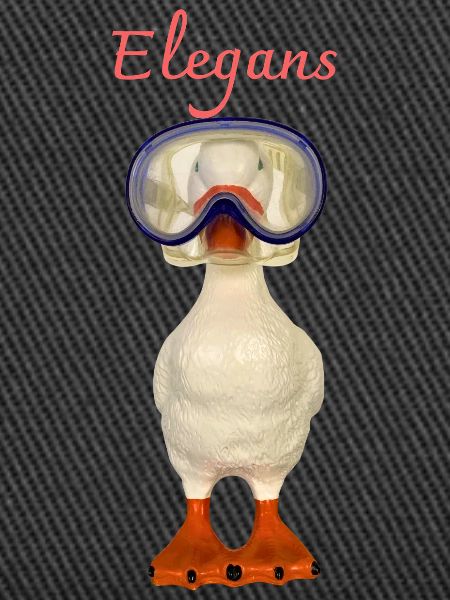 Elegans Diving Goose