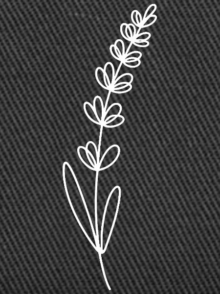 Lavender line illustration