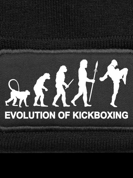 Entwicklung des Kickboxens