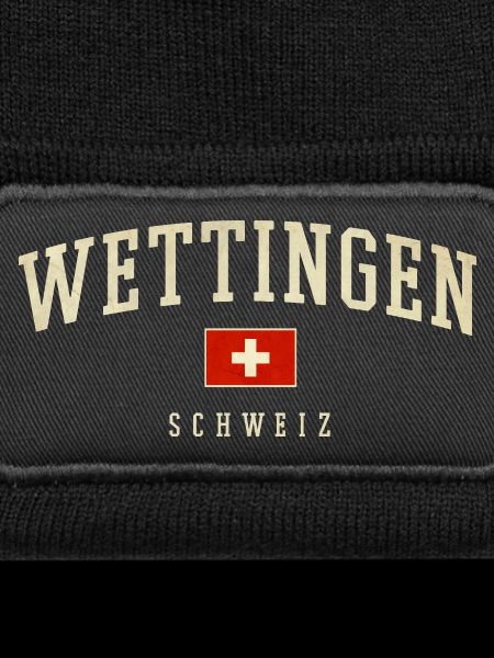 Wettingen Switzerland Banner