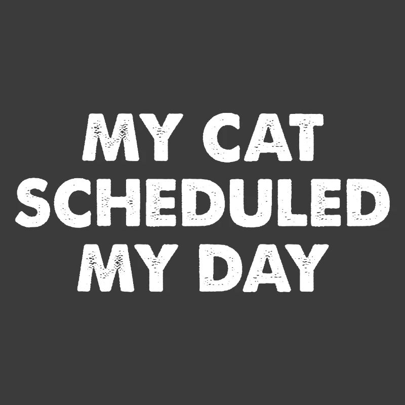 Mon chat a programmé ma journée