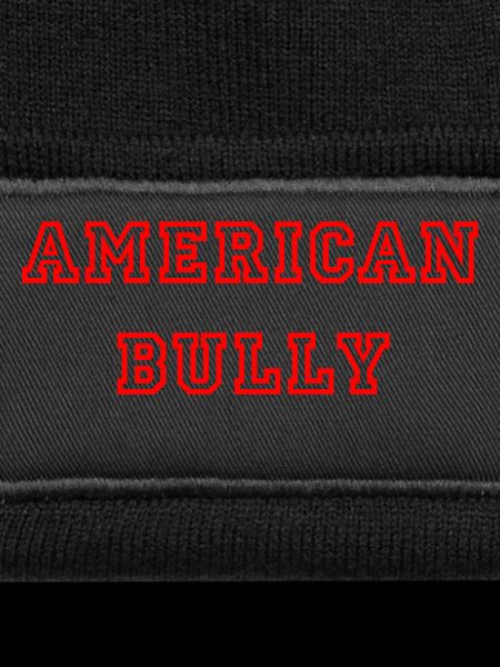 American Bully