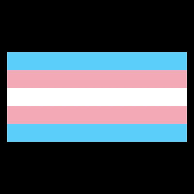 Transgender Pride Flag