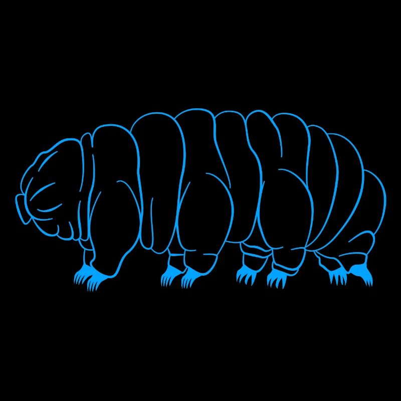 Tardigrade Tardigrade Water Bear Tardigrade