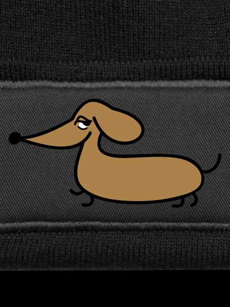 dachshund
