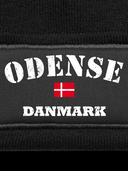 Odense Danmark