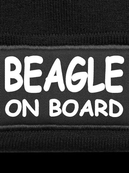 Beagle