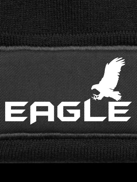 Aigle - aigle