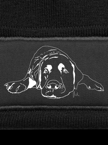 Labrador
