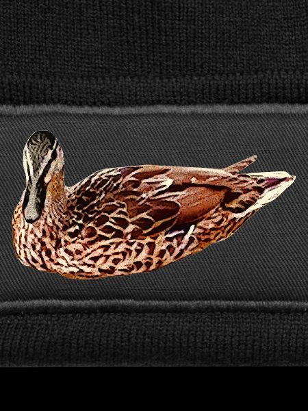 wasservögel, Stockente