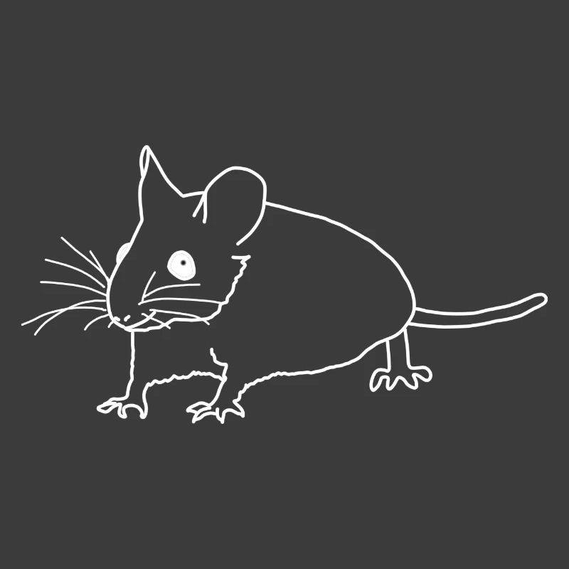 Mouse lineart