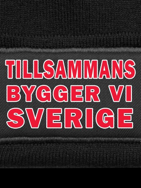 Gemeinsam baut Schweden