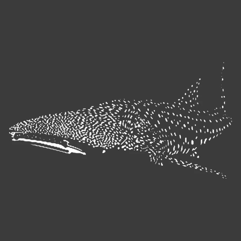 Requin-baleine