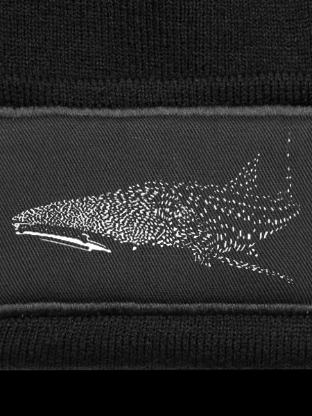 requin-baleine