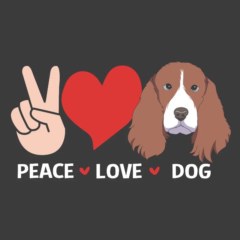 Springer Spaniel Hund