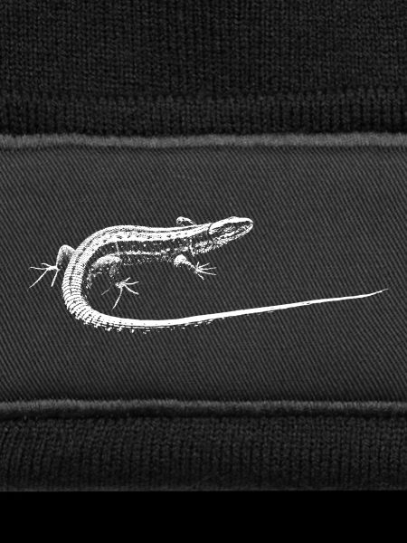 Eidechse / Lizard
