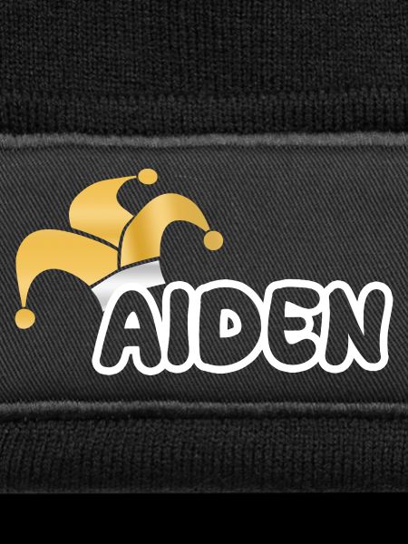Carnival Aiden