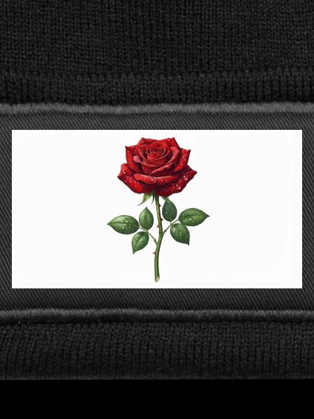 Rote Rose mit Tau-Tropfen